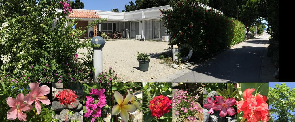 Hotel Minshuku Irayoi Ishigaki  Zewnętrze zdjęcie