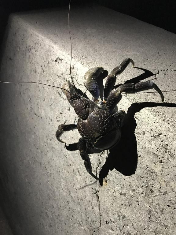 Hotel Minshuku Irayoi Ishigaki  Zewnętrze zdjęcie